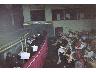 Trovatore (imm. 7 di 7)