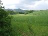 Area ex lago i Lami (imm. 1 di 27)