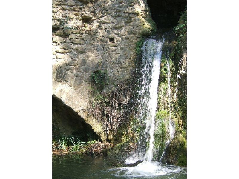 Mulinaccio partic. (04)