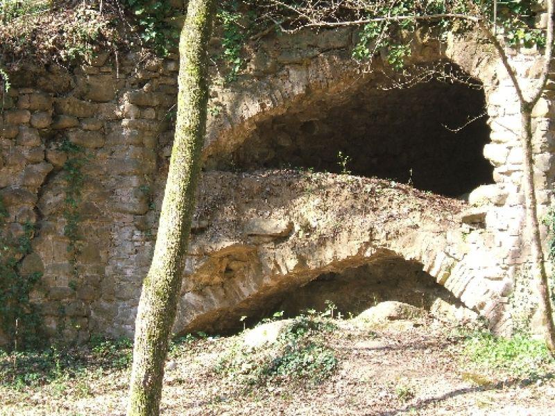 Mulinaccio partic. (06)