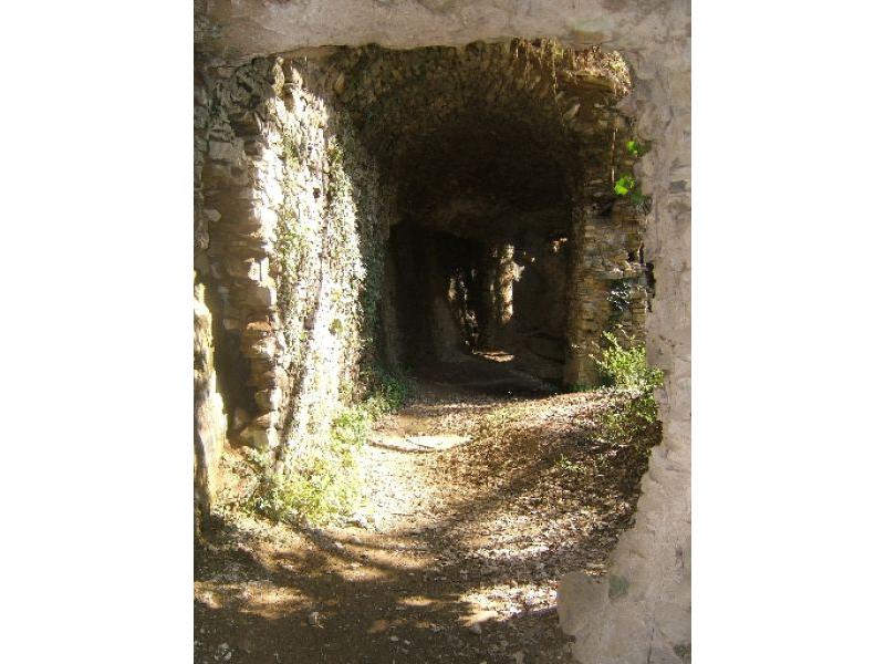 Mulinaccio partic. (16)