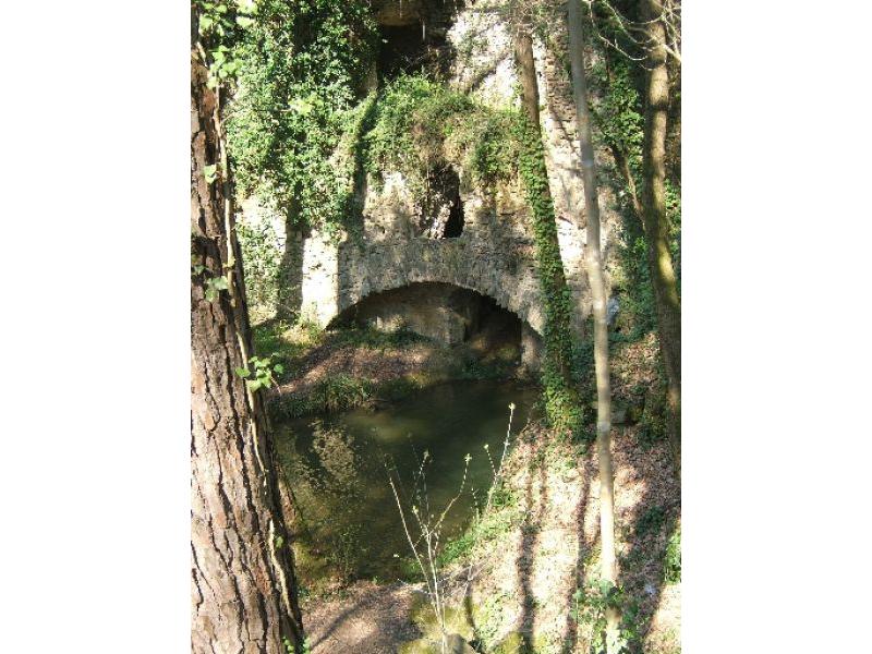 Mulinaccio partic. (19)