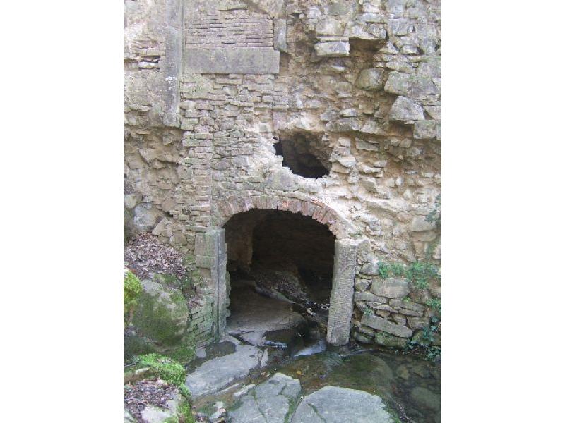 Mulinaccio partic. (20)