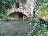 Mulinaccio partic. (24) (imm. 27 di 27)