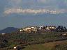Artimino panorama (Carmignano PO) (imm. 1 di 12)