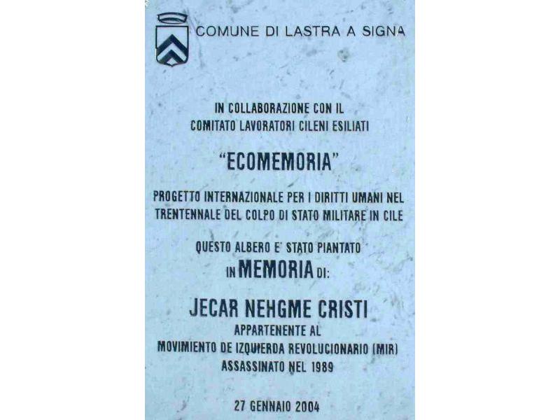 JECAR NEHGME CRISTI (prog.internaz.diritti umani)