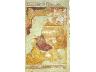 Natività (XIV sec,bottega degli Orcagna) (imm. 5 di 5)