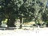 Brucianesi di Lastra a Signa, i giardini 2007 (imm. 12 di 24)