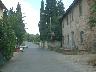 Inno anno 2007 (Lastra a Signa) (imm. 9 di 18)