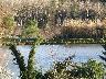 Inno, lago Il Chiuso Anno (Lastra a Signa 2007) (imm. 6 di 18)