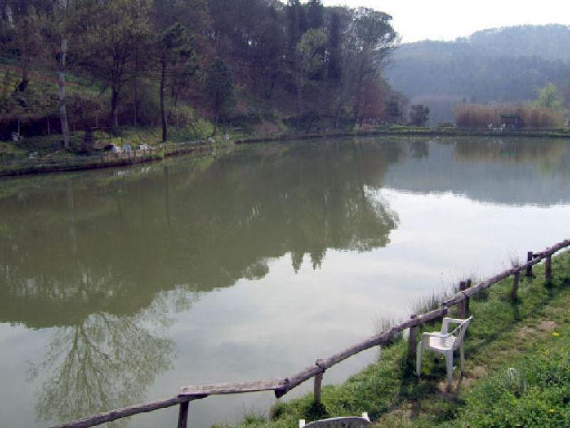 Inno, lago Il Chiuso Anno 2007 (Lastra a Signa)