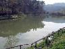 Inno, lago Il Chiuso Anno 2007 (Lastra a Signa) (imm. 4 di 18)