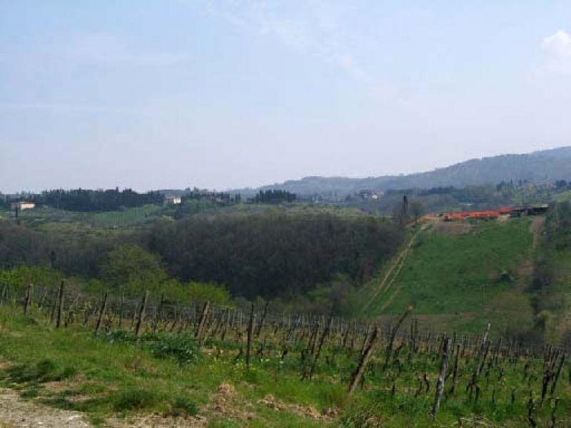 Lastra a Signa, panorama di Inno (2007)