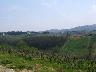 Lastra a Signa, panorama di Inno (2007) (imm. 1 di 18)