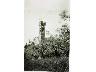 San Martino a Carcheri - 1928 (Lastra a Signa) (imm. 1 di 20)
