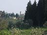 Panorama con la chiesa di San Martino a Carcheri (Lastra a Signa 2007) (imm. 12 di 20)