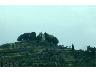 Carmignano, la rocca<br>2005 (imm. 6 di 10)