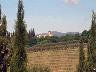 Marliano panorama, estate 2003 (Lastra a Signa) (imm. 5 di 8)