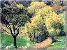Marliano panorama, estate 2003 (Lastra a Signa) (imm. 6 di 8)