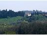 Marliano di Lastra a Signa. Panorama estate 2003 (imm. 3 di 8)