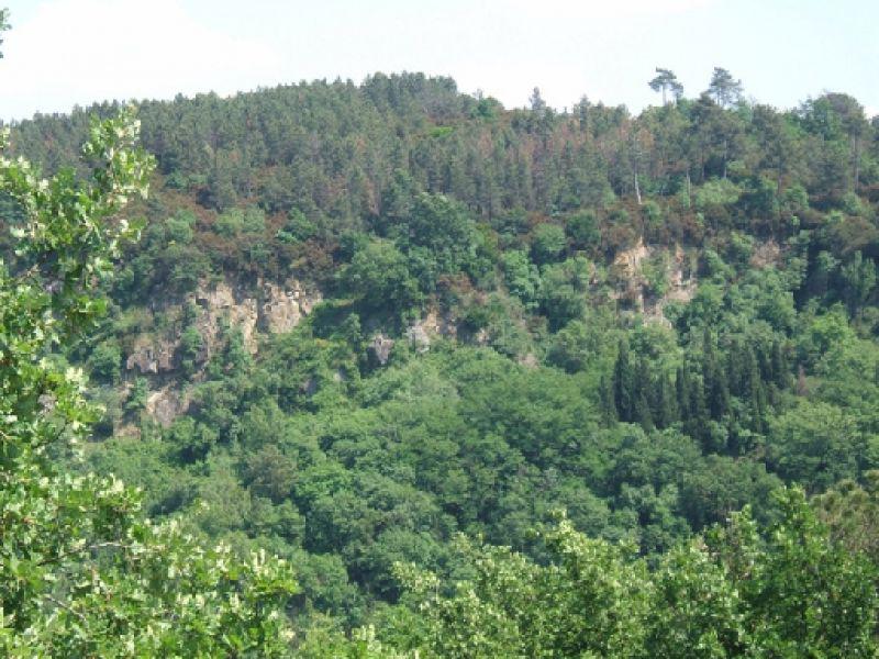 Cave della Gonfolina viste da Grumaggio (Lastra a Signa 2006)