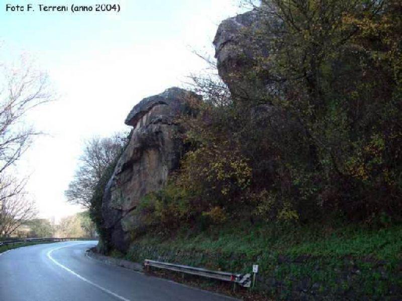 Gonfolina  o Golfolina (Lastra a Signa 2006)