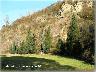 Gonfolina pietra Arenaria autunno 2005 (imm. 12 di 17)