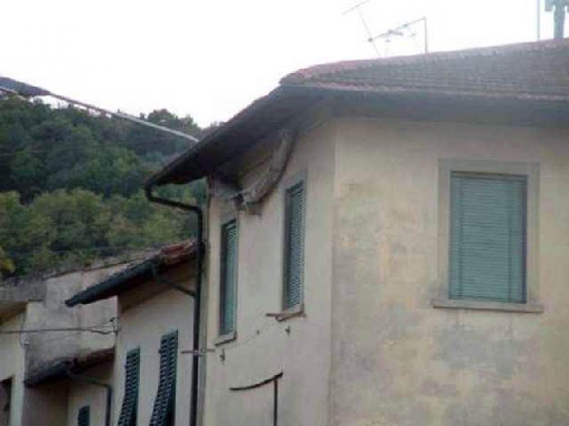 La lisca,2004 (particolare)