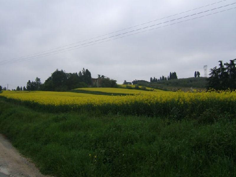 Sant'Ilario,  primavera 2004 (Lastra a Signa)