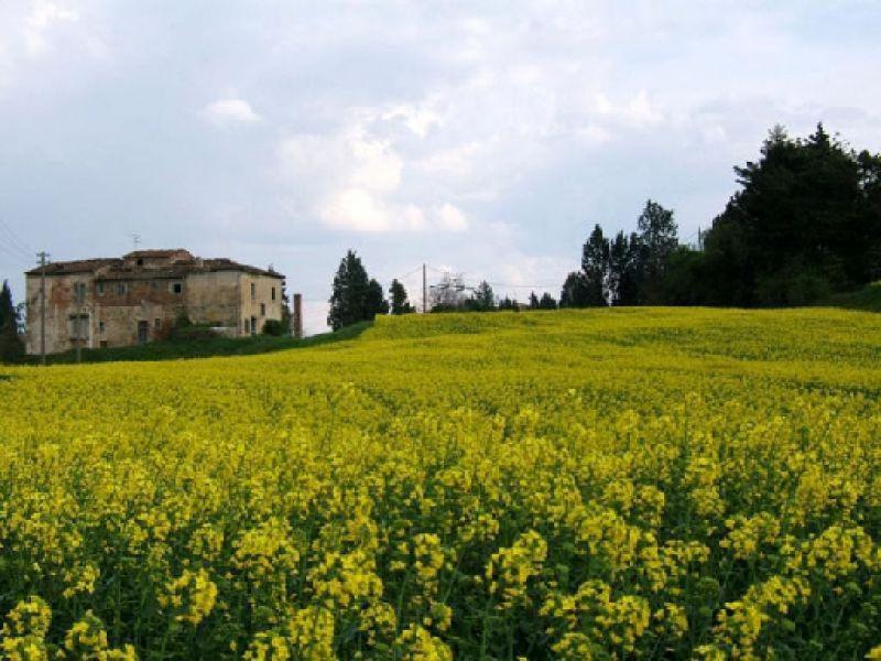 Sant Ilario di Lastra a Signa, panorama (Aprile 2007) 
