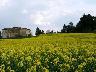 Sant Ilario di Lastra a Signa, panorama (Aprile 2007)  (imm. 4 di 19)