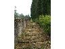 Ex cimitero di calcinaia, scalinata d`accesso   (2007) | Lastra a Signa (imm. 15 di 22)