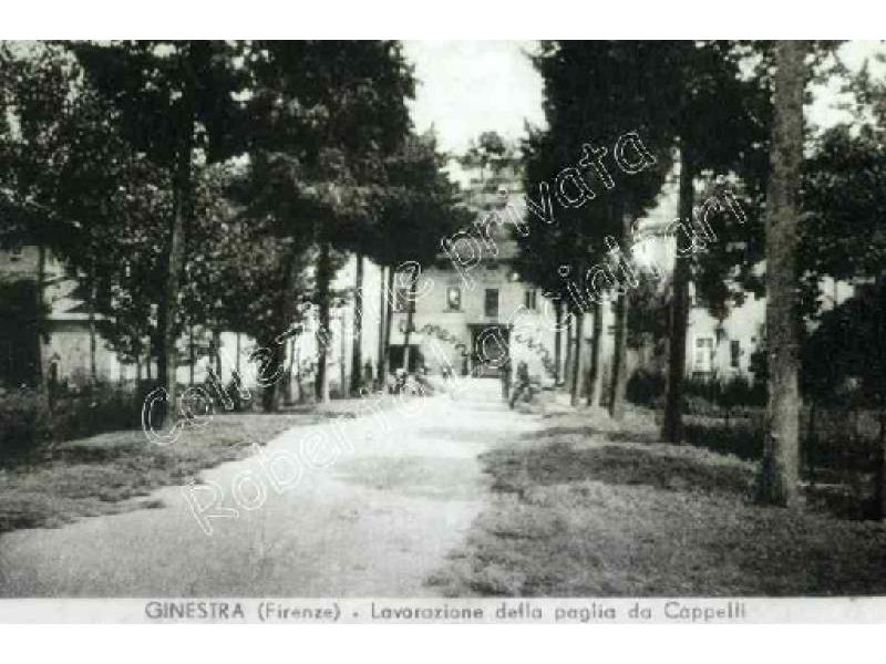 Ginestra Fiorentina. Lavorazione della paglia da cappelli - 1950 | Lastra a Signa