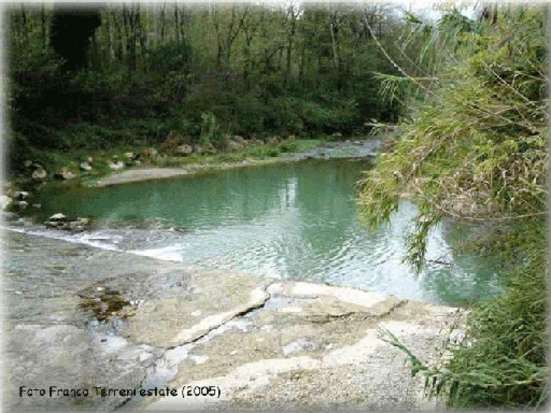 Ginestra f.na torrente Pesa (2005) | Lastra a Signa
