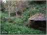 Ginestra  f.na Sorgente Ringuillo, antichi lavatoi set 2005 | Lastra a Signa (imm. 16 di 28)