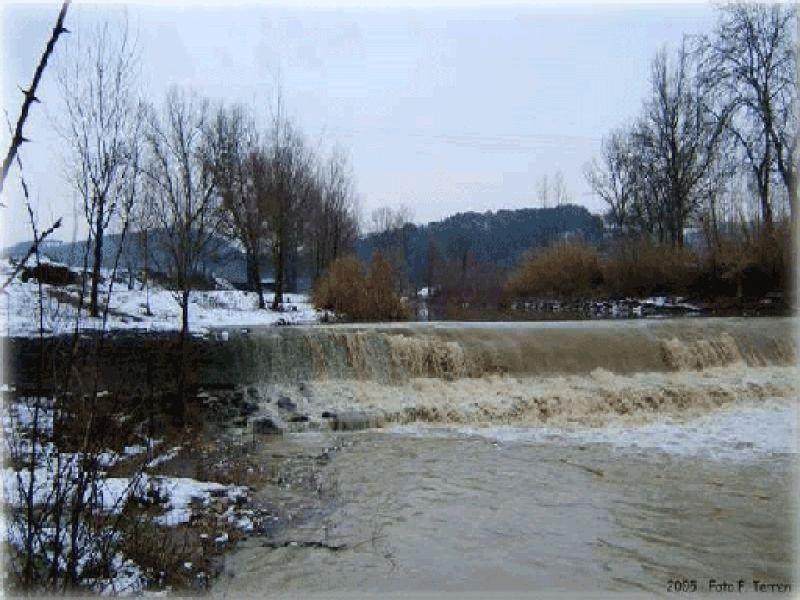 Ginestra torrente Pesa (2005)