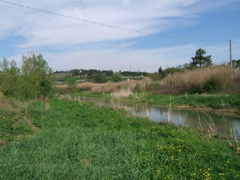 Torrente Pesa  alla Ginestra  f.na (2007)