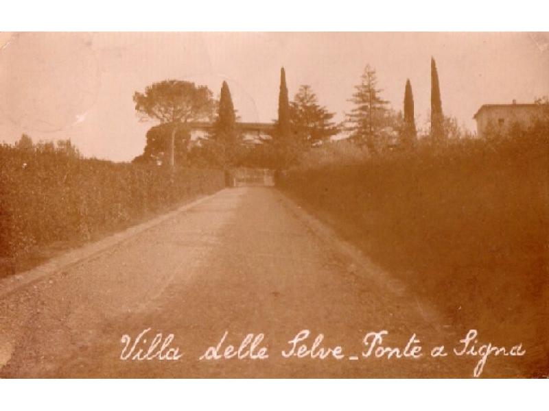 Via delle Selve (1930)