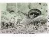 Ponte a Signa 12  Sistemazione dell`Arno Manufatto sul Rio Caci 1903 (imm. 13 di 26)