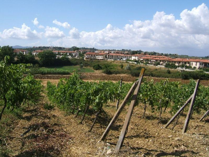 Quattro strade di Malmantile (2007)