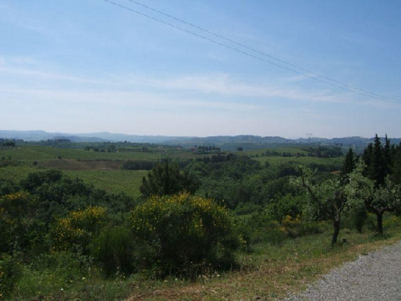 Piandaccoli di Malmantile. Paesaggio zona Pino torto 2005