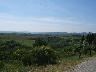 Piandaccoli di Malmantile. Paesaggio zona Pino torto 2005 (imm. 7 di 11)