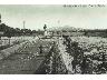Malmantile. Piazza Vittorio Veneto - 1938 (imm. 10 di 30)