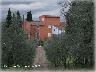 Malmantile - Novoli - Casa colonica 2006 (imm. 28 di 30)
