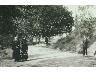 Malmantile. Lecceto. Villa del Seminario - 1920 (imm. 4 di 27)
