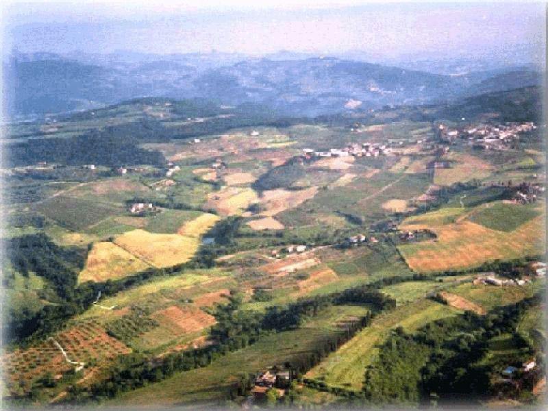 Bracciatica dall`alto estate 2004 | Malmantile