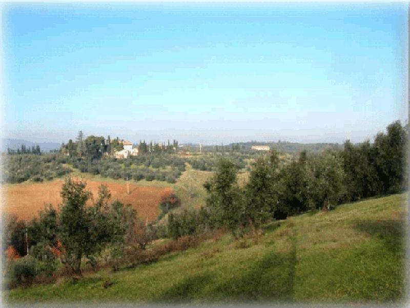 Bracciatica estate 2005 | Malmantile