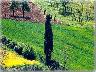 Bracciatica di Malmantile estate 2005 (imm. 4 di 5)