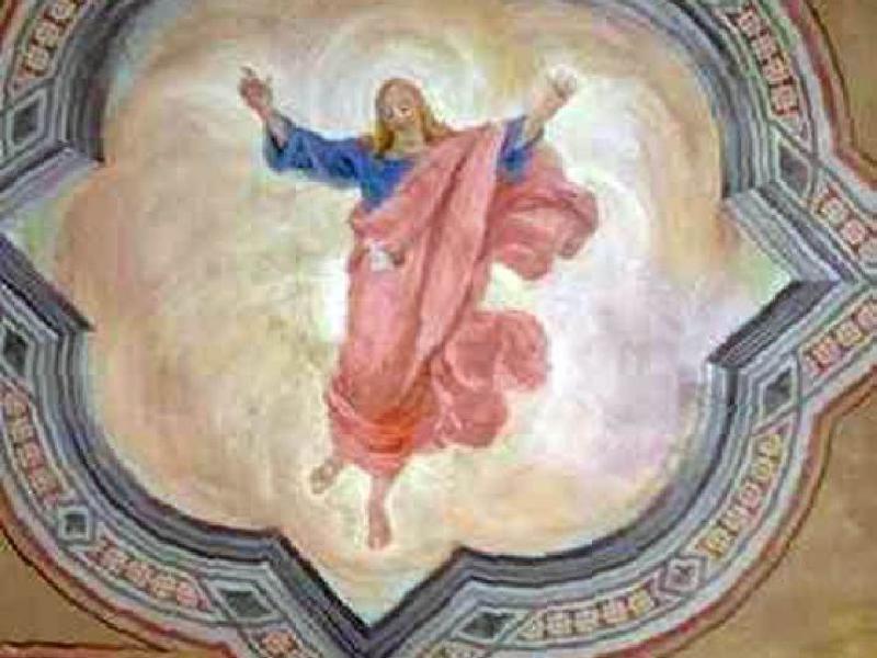 Cupola della Tribuna | Chiesa di San Romolo, Lastra a Signa