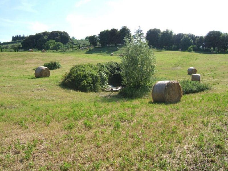 San Romolo Fonte della Massolina 2005 | Lastra a Signa